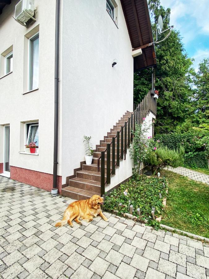 Hotel Guesthouse Stari Jasen Velika Mlaka Eksteriør bilde