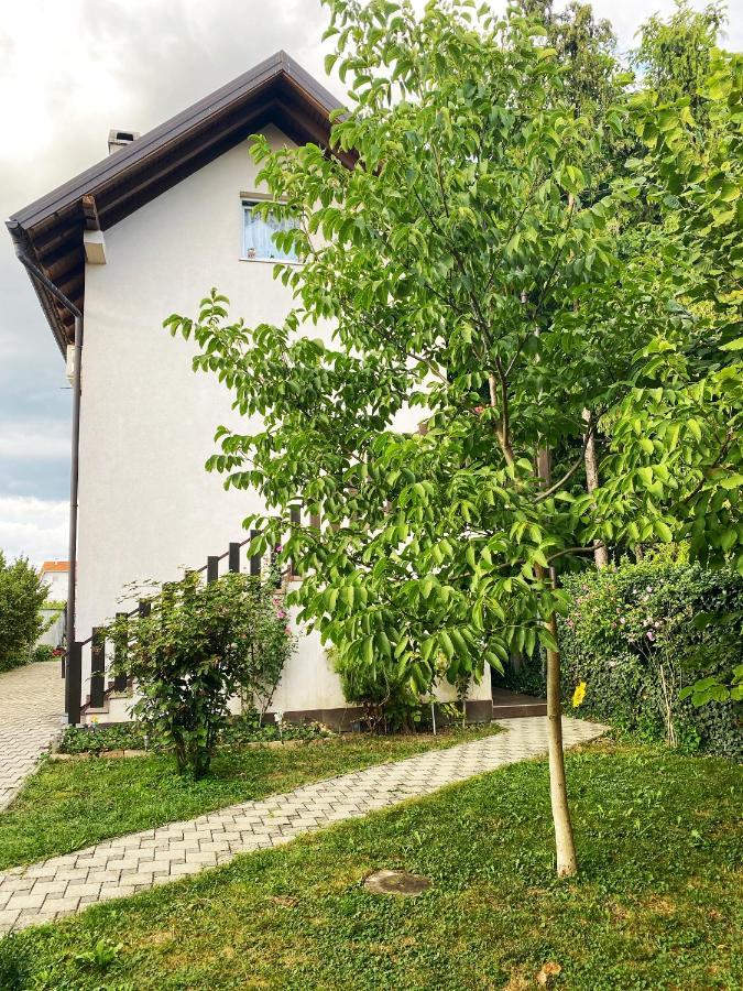Hotel Guesthouse Stari Jasen Velika Mlaka Eksteriør bilde